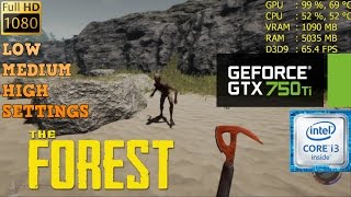 GTX 750 Ti  The Forest i3 6100 1080p Low Medium amp High Settings [upl. by Nyletac841]