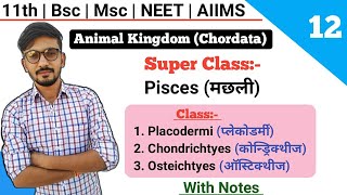 Class Placodermi  Chondrichtyes  Osteichtyes  Classification Of Chordates  By Dadhich Sir [upl. by Ahseital270]