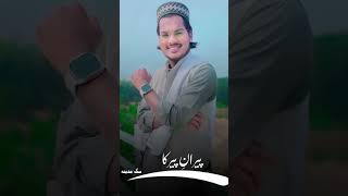 Walyon Ke Sardar ikramrazaqadri shortsviral trending youtubeshorts beautiful islam nepal [upl. by Medeah]