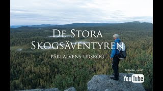 De stora skogsäventyren  Del 4 Trailer [upl. by Almap535]