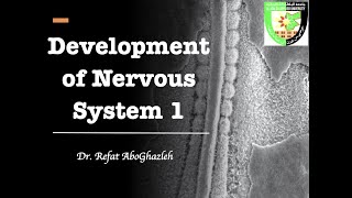 Development of Nervous System 1 [upl. by Traci356]