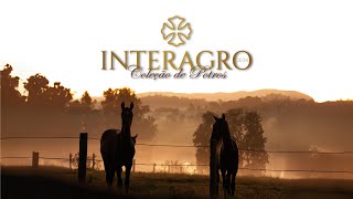 UNGUENTO INTERAGRO [upl. by Sidonnie235]