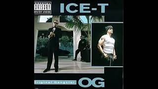 Ice T  Original Gangster Full Album [upl. by Nevin728]