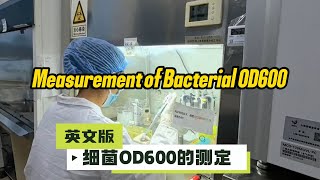 Measurement of Bacterial OD600 [upl. by Kutzer41]