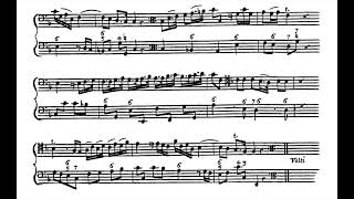 B Marcello Sonata I for cello set for bass recorder and bc [upl. by Earl]