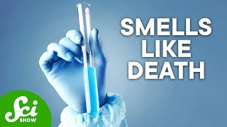 The 5 Most Dangerous Chemicals on Earth [upl. by Baras]