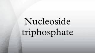 Nucleoside triphosphate [upl. by Ahsiekan167]