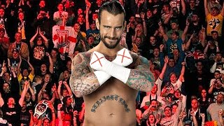 CM Punk shoots on Wrestling fans [upl. by Zarger122]