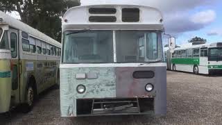 Trans Perth MTT BUS 663 at Whiteman park [upl. by Ansel]