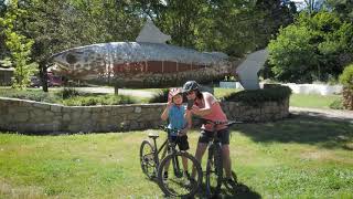 Cycle Trails Harrietville [upl. by Nyliak867]