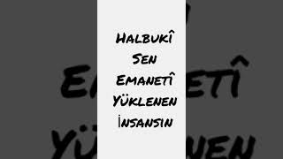 halbuki sen emanetî yüklenen insansın [upl. by Valdemar]