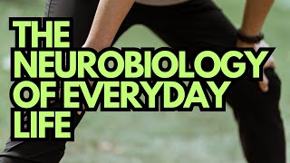 THE NEUROBIOLOGY OF EVERYDAY LIFE [upl. by Nwatna]