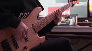 The Way  Meshell Ndegeocello bass cover 4K [upl. by Deys]