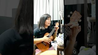 357 Fixing A Broken Heart by Indecent Obsession  Ukulele Cover [upl. by Rennob]