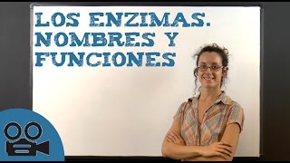 Los enzimas nombres y funciones [upl. by Lanam]