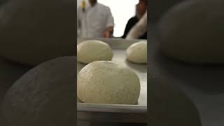 🔴 Mira esta masa de PIZZA con HARINA INTEGRAL [upl. by Fullerton]