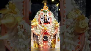 Jagannath Arati Darshan shorts puri love jagannathpuritemple vlog explore [upl. by Suzie968]