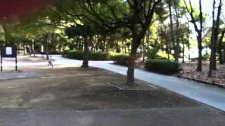 液状化幕張 liquefaction by earthquake on Japan 2011 [upl. by Anigroeg]