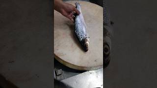 Giant Milk Fish Fast Cutting Skillsshorts [upl. by Notgnirrab868]