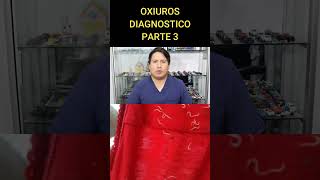 OXIUROS DIAGNOSTICO  PARTE 3 [upl. by Niamrej235]