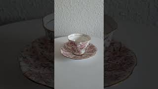 Vintage Rosina Bone China Made In England Floral Gold Trim Coffee Tea Pairetsysellr bonechina [upl. by Enylrac]