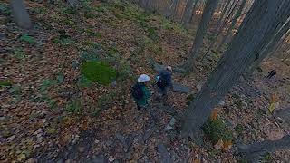 Chedoke Radial Trail Hamilton hike [upl. by Llebana]