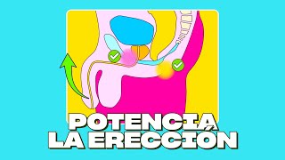 ¿Cómo ganar rigidez en la erección [upl. by Cresa]