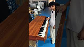 A costeffective electric piano [upl. by Naam]