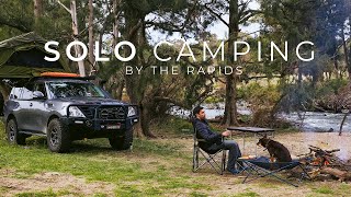 SOLO Car Camping by the River  Relaxing Escapes with my Dog  Campfire Cooking  Nature ASMR [upl. by Potts]