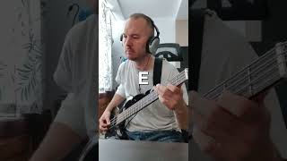 Męskie Granie Orkiestra 2024  Wolne duchy  guitar bass cover [upl. by Nahtnhoj]