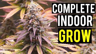 Seed To Harvest A Complete Indoor Cannabis Grow [upl. by Filemon]