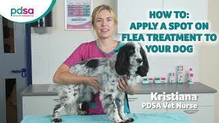 How To Apply A Spot On Flea Treatment To Your Dog PDSA Petwise Pet Health Hub [upl. by Sampson]