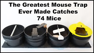 The Greatest Mouse Trap Ever Made Catches 74 Mice  The 4 in 1 Mouse Trap Mousetrap Monday [upl. by Darcey719]