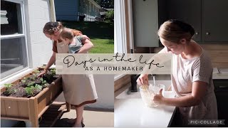 Homemaking Days in the Life as a Mennonite Mom [upl. by Irish]