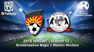 2016 NNSWF  Round 12  Broadmeadow Magic v Weston Workers [upl. by Stuppy]