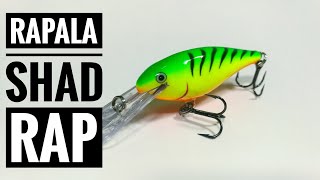 RAPALA SHAD RAP RS [upl. by Enerahs]