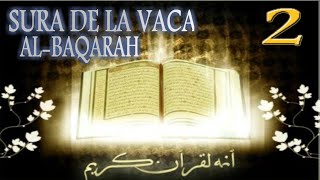 Sura de la Vaca Al baqarah [upl. by Eeleak]