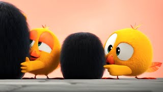 Wheres Chicky  Funny costume  Cartoon Collection in English for Kids  New episodes [upl. by Toll]