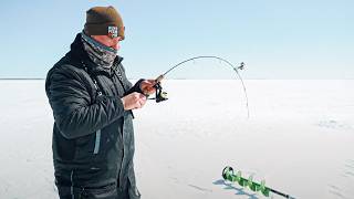 The Best Perch Ice Fishing Ive Ever Seen [upl. by Yttisahc]