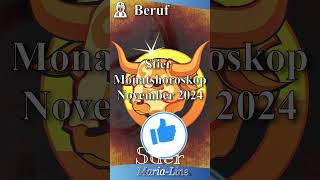 Stier BERUF 👷‍♀️ Horoskop November 2024 [upl. by Sitof414]