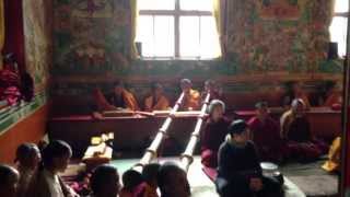 Tibetan Buddhist monks chanting in monastery in Nepal during a special puja [upl. by Anaigroeg]