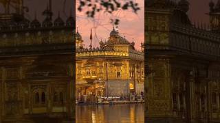 Dhan Ramdas gurgoldentemplelamritsarsahibdarbarsahibviralshorttrendingshortsyoutubeshorts [upl. by Timon]