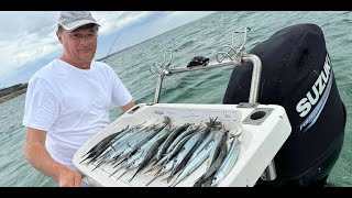 Happy Fisherman EP90 KGW Garfish and mixed bag offshore [upl. by Anirbys775]