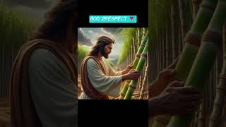 JESUS quotThe Divine Touch A Journey Through Sugarcane Fields 🍃✨quotshorts jesus jesuschrist [upl. by Pepi]