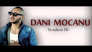 DANI MOCANU  Te iubesc Eli  Official Audio [upl. by Gothard]