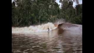 surfing on the river quotThe exciting Bono Pelalawan Riau Indonesia [upl. by Alton643]