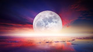 24 Hours of Relaxing Sleep Music • Deep Sleep Music Meditation Night Sounds Relaxing Music Calm [upl. by Stalker]