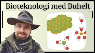 Bioteknologi  Cellens kemi [upl. by Frodine252]