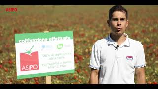 Il pomodoro da agricoltura sostenibile certificata – in sintesi [upl. by Eanore517]