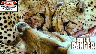 Cheetah Eat A Waterbuck Until Vultures Take Over  Kruger National Park [upl. by Nosnarb268]